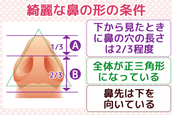 綺麗な鼻の形の条件
