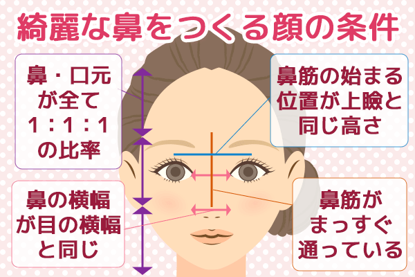綺麗な鼻をつくる顔の条件