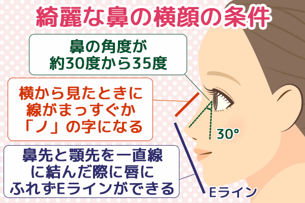 綺麗な鼻の横顔の条件
