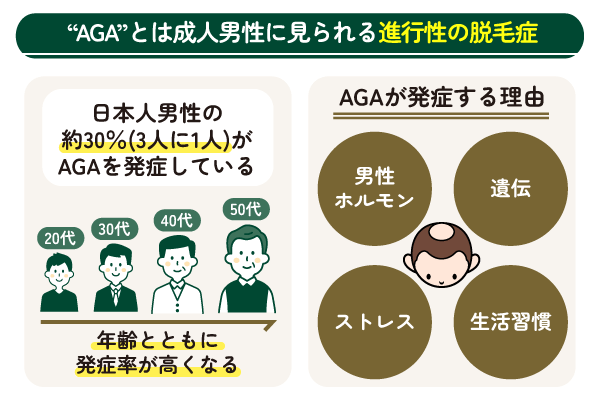 AGAの症状を説明する図